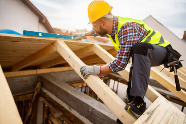 Best Roof Maintenance Services  in Vilonia, AR
